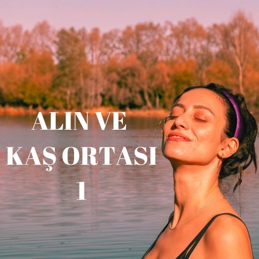 ALIN BÖLGESİ 1 cover photo